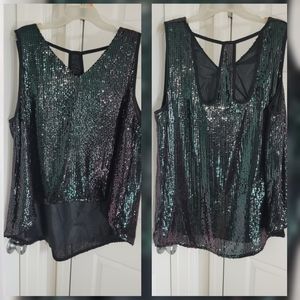 Plus size sequins top